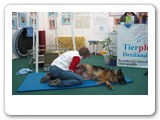 Messen und Ausstellungen
