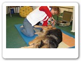 Messen und Ausstellungen
