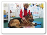Messen und Ausstellungen
