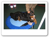 Messen und Ausstellungen
