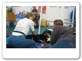 Messen und Ausstellungen
