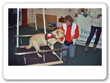 Messen und Ausstellungen
