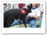 Messen und Ausstellungen
