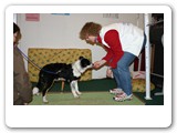 Messen und Ausstellungen
