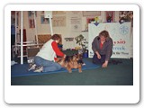 Messen und Ausstellungen
